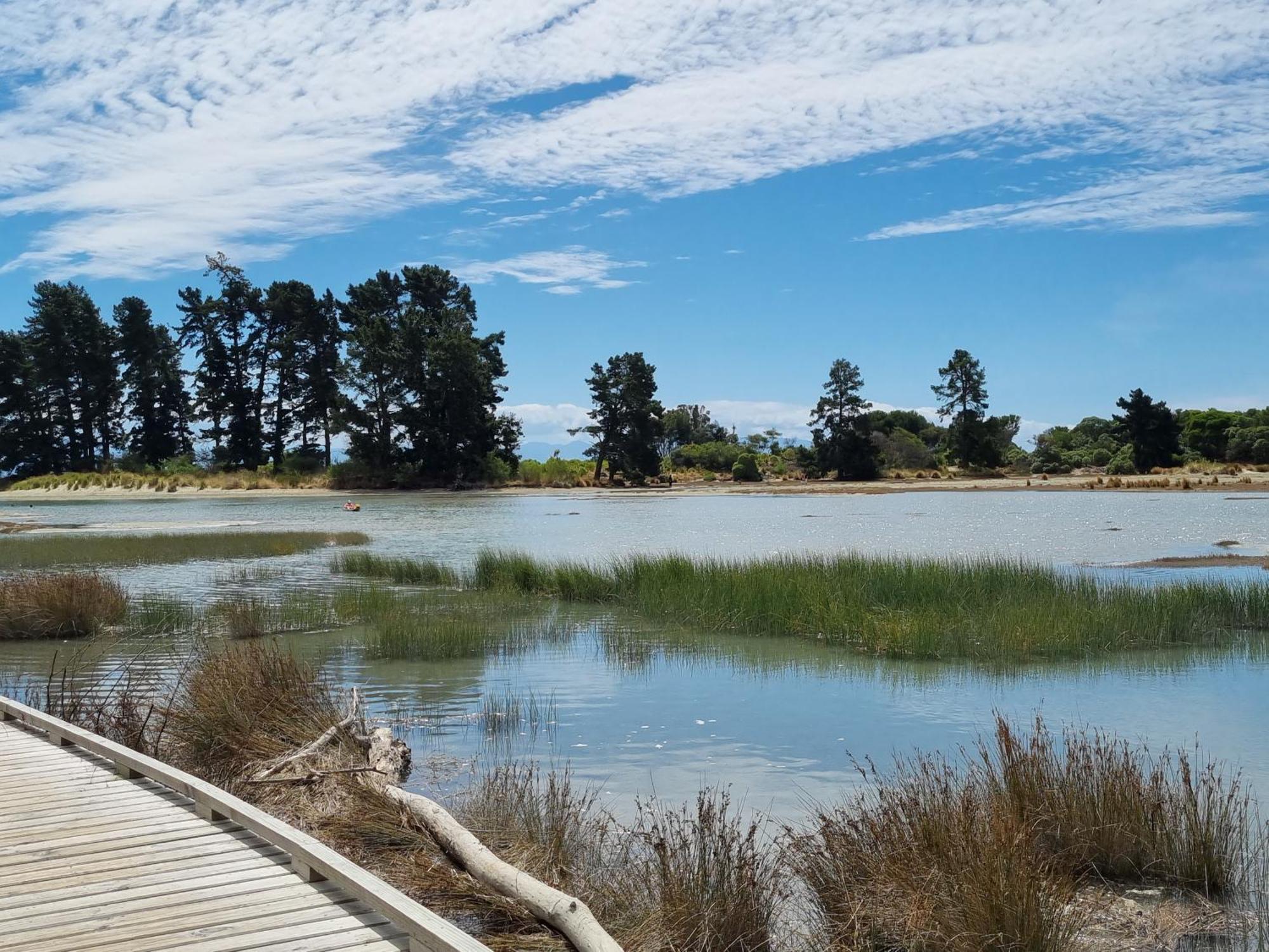 Tahuna Beach Holiday Park 纳尔逊 外观 照片