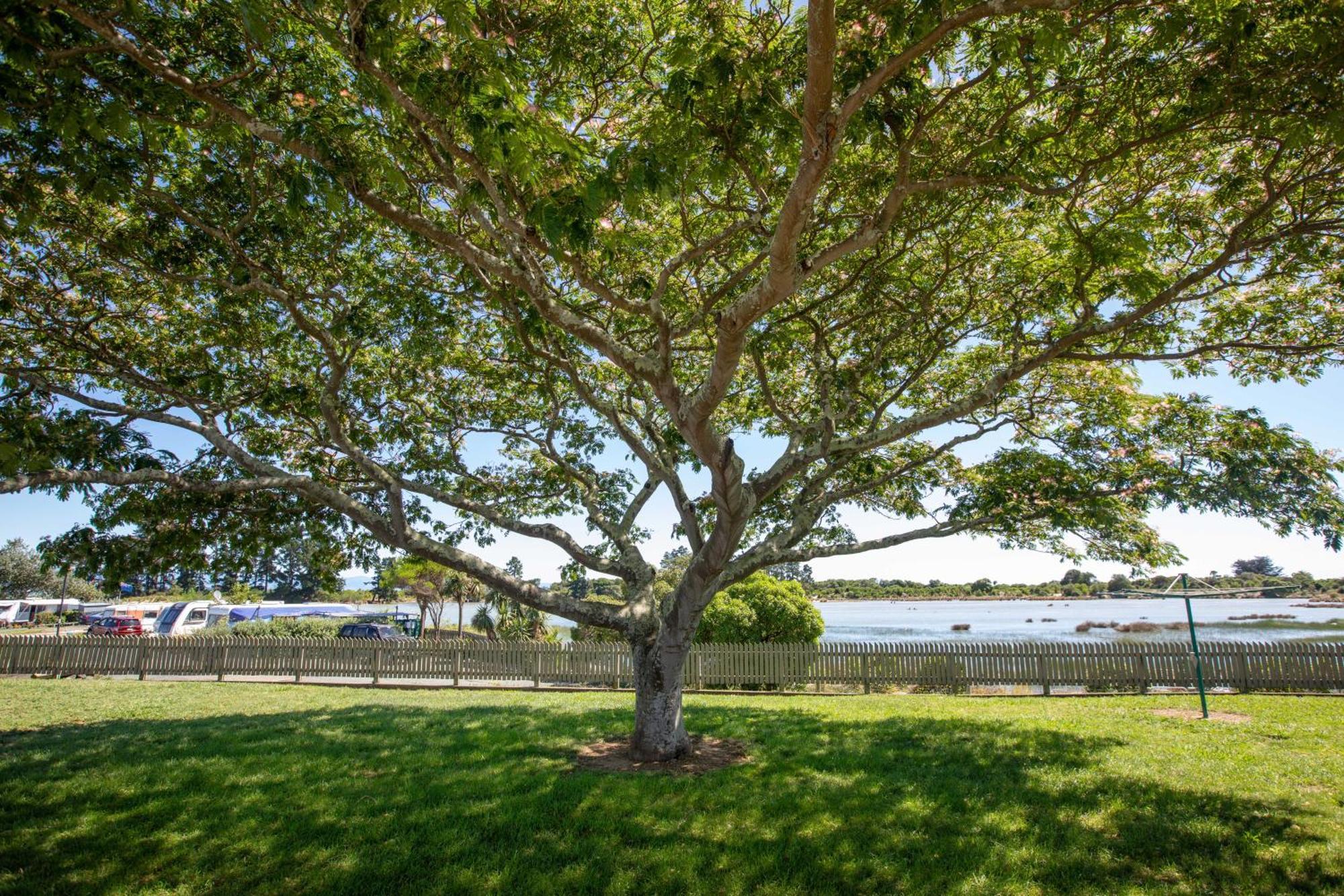 Tahuna Beach Holiday Park 纳尔逊 客房 照片